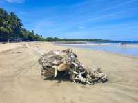 Tamarindo Beach