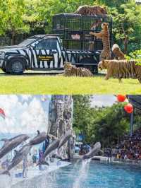 🌴曼谷野生動物園：生生不息的的大草原