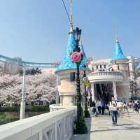 🌸Everland สวนสนุก🎡 ที่มีซากุระ🌸