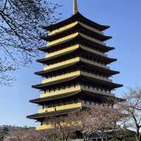 慶州🌸普門亭など散策