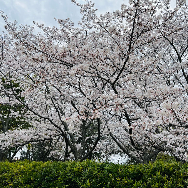 明石公園