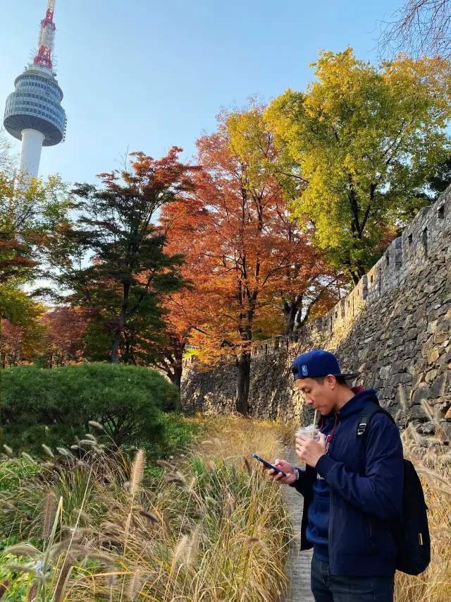 🗼 Tower at Northern Mountain