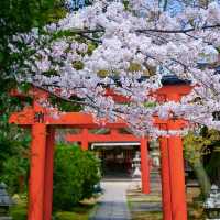 【靜岡】野宮神社：絕景寶地