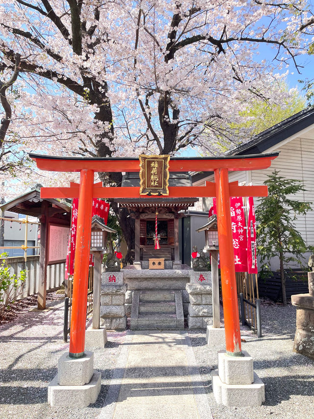 【伊勢原大神宮/神奈川県】桜咲き乱れる旧伊勢原村の鎮守