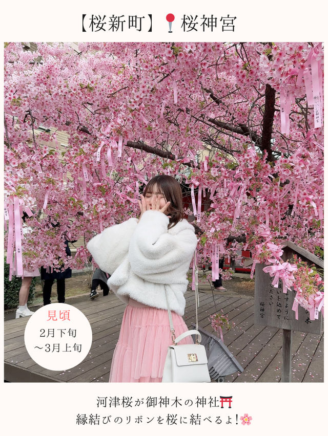 お花見桜スポット16選🌸【関東編】