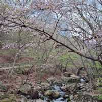 Spiritual Seonamsa, scenic serenity in Suncheon