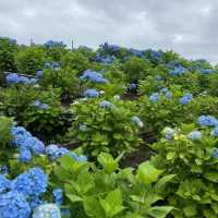 英彥山花園：和洋文化融合，英式鄉村庭院