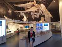 🌊ท่องโลกใต้ทะเลที่ Okinawa Churaumi Aquarium