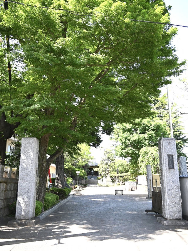 【東光寺/東京都】龍神のいる神仏習合の名残りある寺院