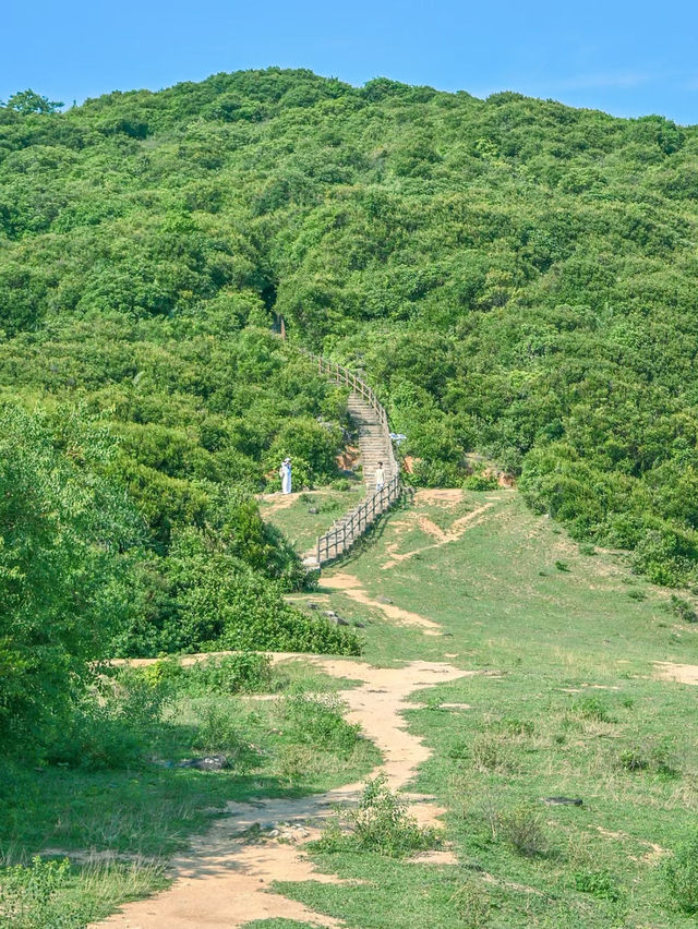 塔門島,母愛的夏日祭典 塔門島,母愛的夏日祭典