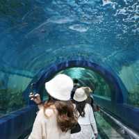 สถาบันวิทยาศาสตร์ทางทะเล มหาวิทยาลัยบูรพา 