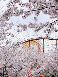 🎡16,000원 내고 하늘자전거만 타고 온 썰,,, 이거 맞아?,,,