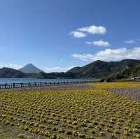 四季花海「池田湖」