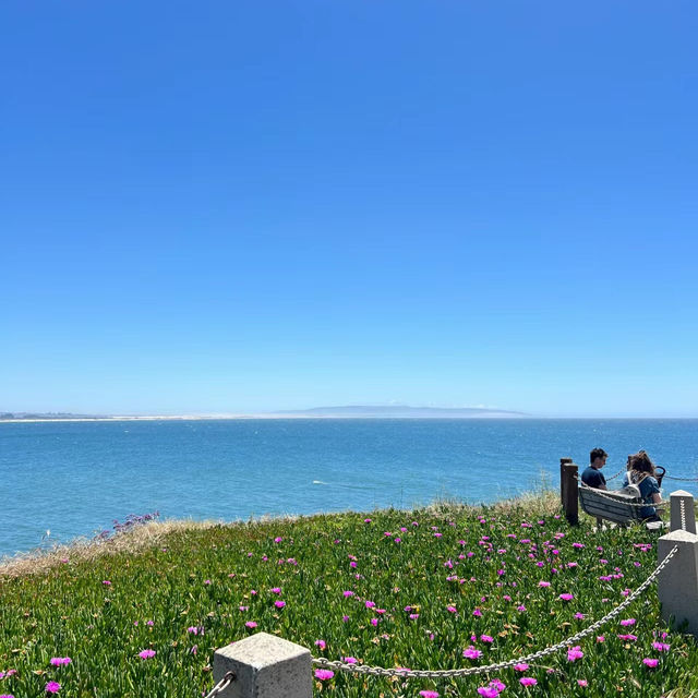 【仙女岩海岸】壯麗海景
