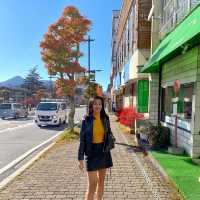 Slow life ที่ Nikko , Japan