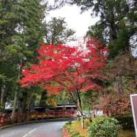 Slow life ที่ Nikko , Japan