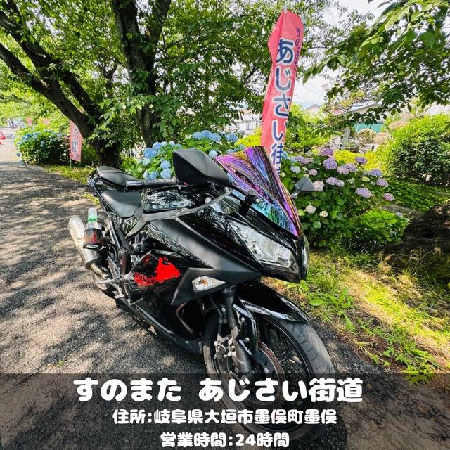 すのまた あじさい街道