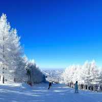 【札幌】比羅夫滑雪場：雪質優質，冬季必遊景點