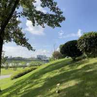 「大潭濕地公園」：觀鳥寶地