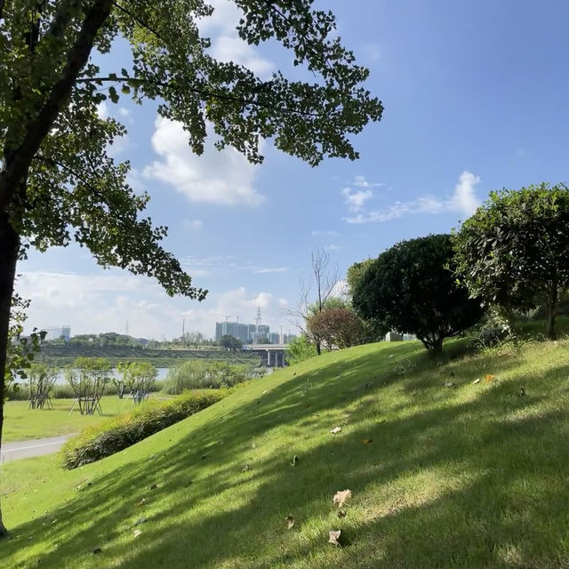 「大潭濕地公園」：觀鳥寶地