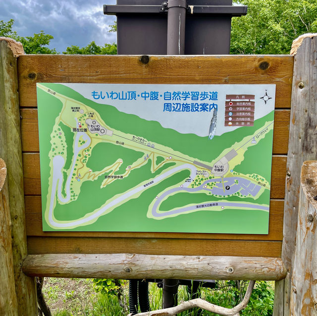 Sky-High Splendor in Sapporo