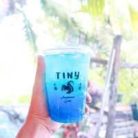 ที่นี่อัมพวาคาเฟ่