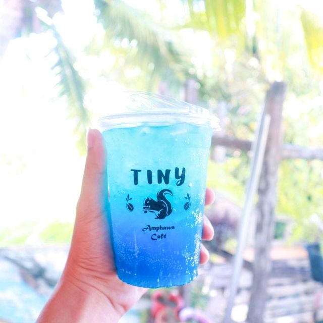 ที่นี่อัมพวาคาเฟ่