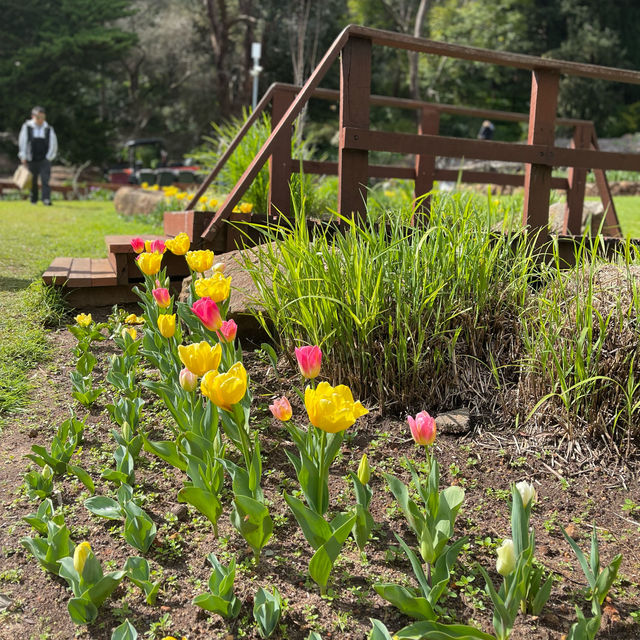 Araluen Botanic Park in Perth WA, perfect place for a weekend getaway