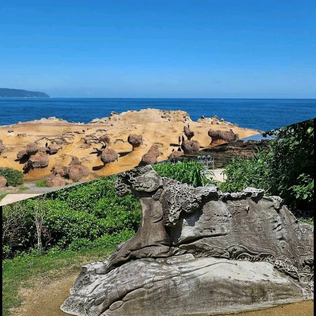 【臺北親子遊】野柳風景區：優美地質景觀，適合全年遊玩
