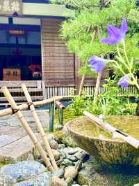 〜京都府〜もはやアート！穴場日本庭園