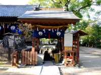 【🇯🇵福岡近郊】竟然有神社祈求肌膚滑嫩❓免費足湯❓嬉野巿的豐玉姬神社：美肌之湯，享受足湯和足部蒸汽浴‼️