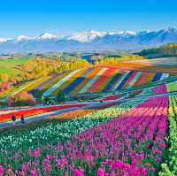Hokkaido: Japan's Pristine Wilderness and Cultural Delights
