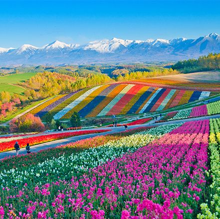 Hokkaido: Japan's Pristine Wilderness and Cultural Delights
