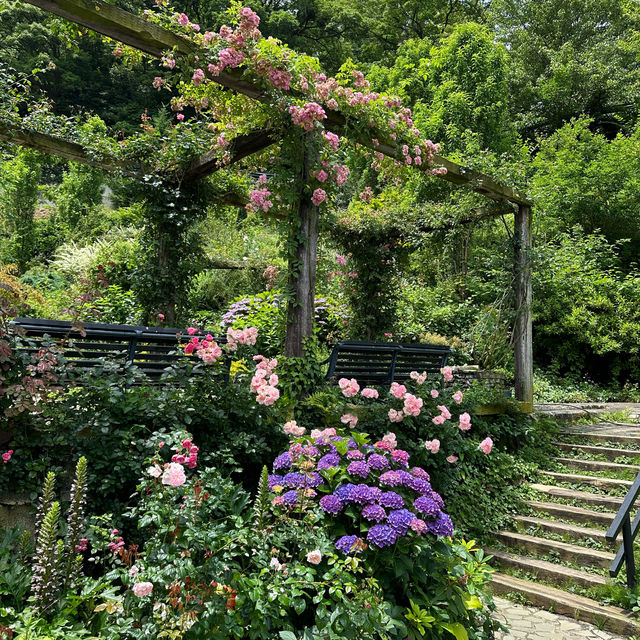 玫瑰花園超療癒！ 日本熱海人氣景點「ACAO FOREST