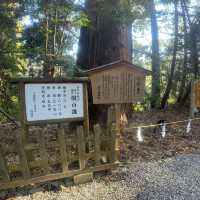 「高千穗宮」：神話發源地，感受大自然魅力