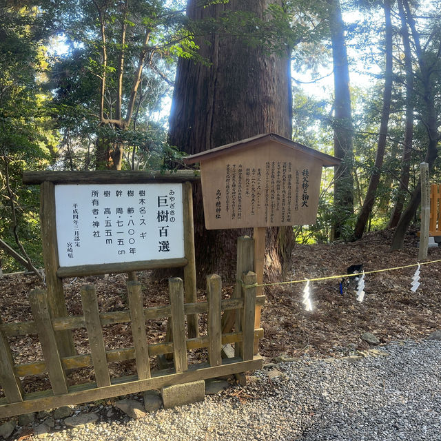 「高千穗宮」：神話發源地，感受大自然魅力