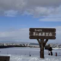 被白雪覆蓋嘅北海道景色自帶filter