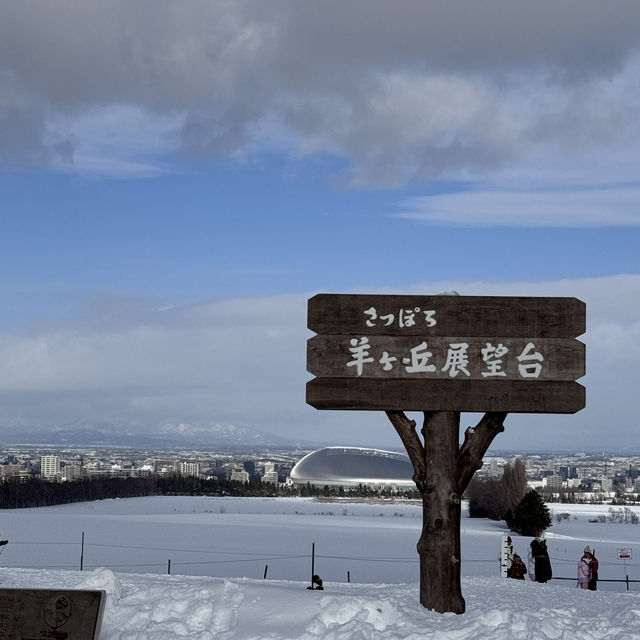 被白雪覆蓋嘅北海道景色自帶filter