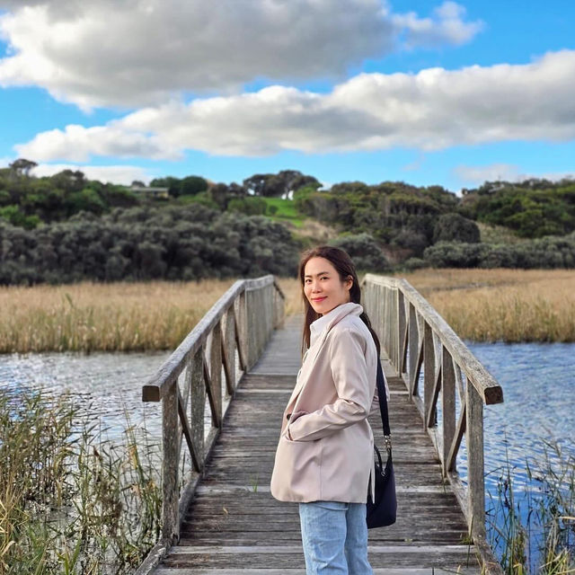 Princetown Wetlands Boardwalk