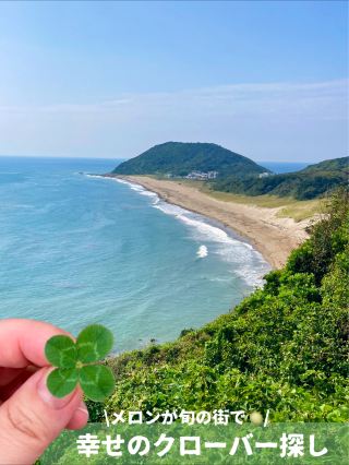夏日必去！盡享幸運四葉草和香甜哈密瓜