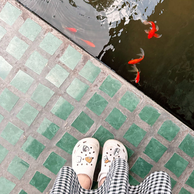 DREAMY LUNCH at Rice Fields!✨