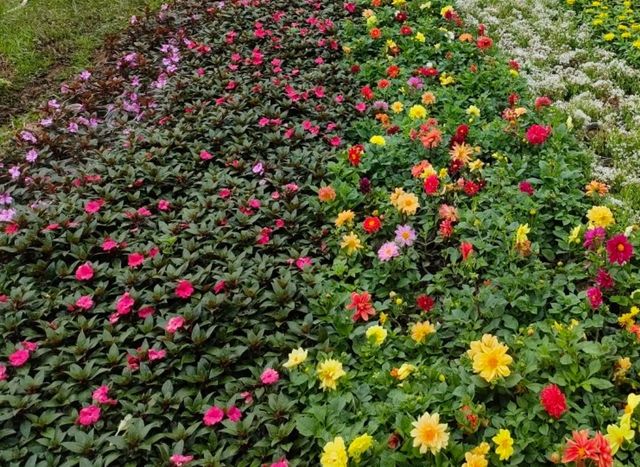 Things to Do in Da Lat Flower Park