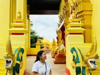 Be calm and enjoy the glow of the golden reclining Buddha in Laos! 