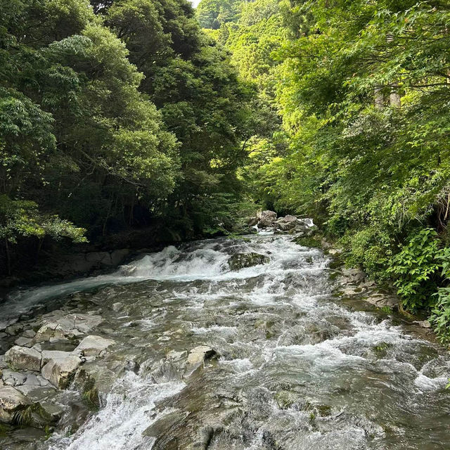 考索國家公園：原始自然生態～世外桃源