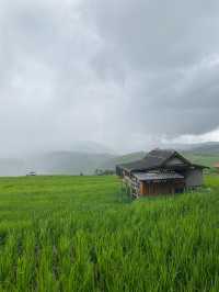 ที่พักป่าบงเปียง | เชียงใหม่ 🏡⛰️🌧️🌾
