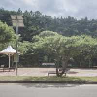 무더운 여름에 완벽한 계곡