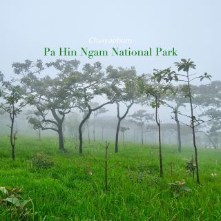 帕欣南國家公園 #猜也奔府