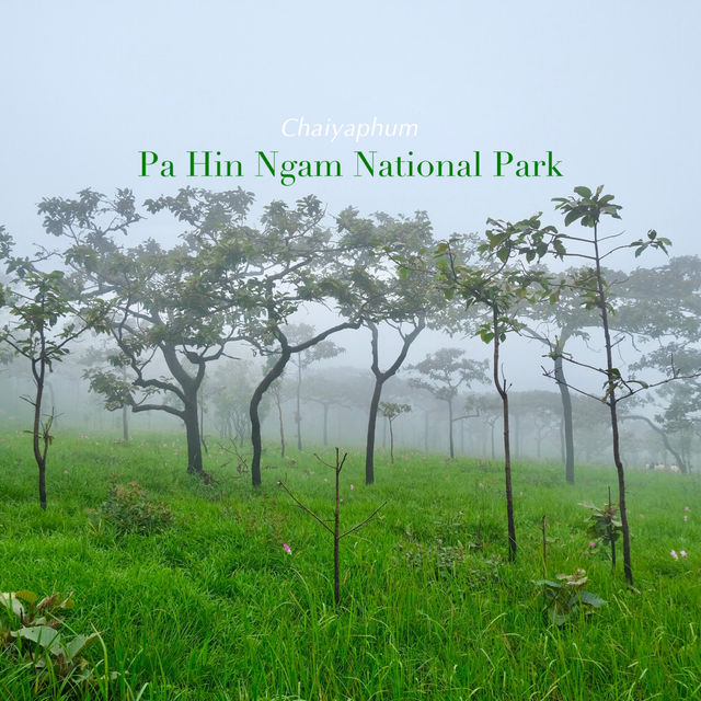 อุทยานแห่งชาติป่าหินงาม #ชัยภูมิ