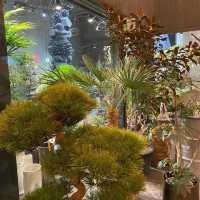 【京都】夜のアートさんぽ🌙2,000円以内で楽しむプラン