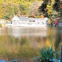 【湯布院】風光明媚な輝く金鱗湖が眼前！素敵ペンション✨